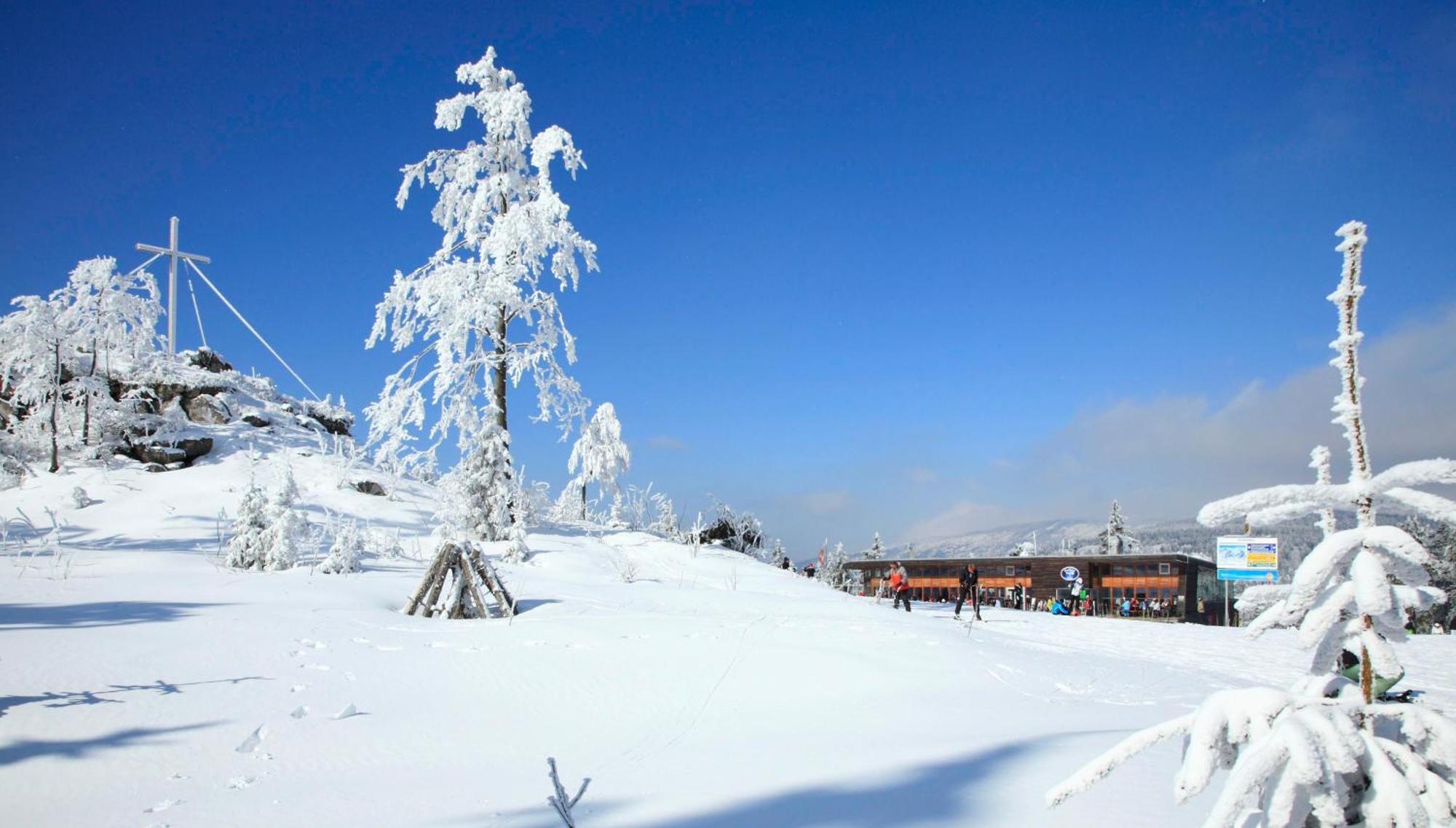 Forsthaus Apartments - Ski + Bike & Hike Клаффер-ам-Гохфихт Екстер'єр фото