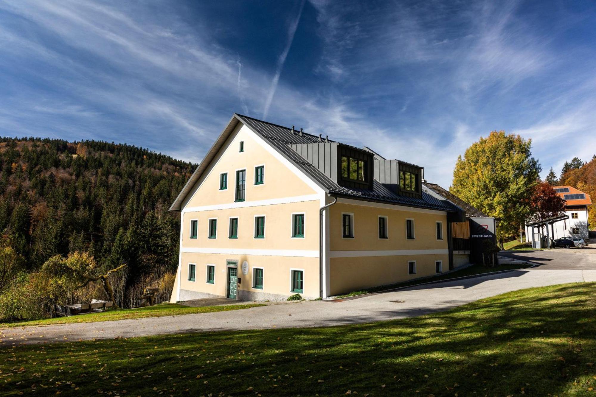 Forsthaus Apartments - Ski + Bike & Hike Клаффер-ам-Гохфихт Екстер'єр фото