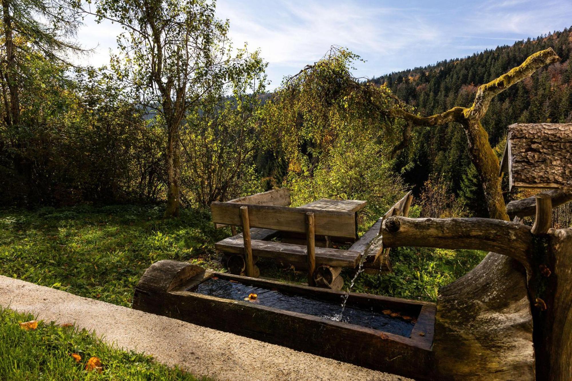 Forsthaus Apartments - Ski + Bike & Hike Клаффер-ам-Гохфихт Екстер'єр фото