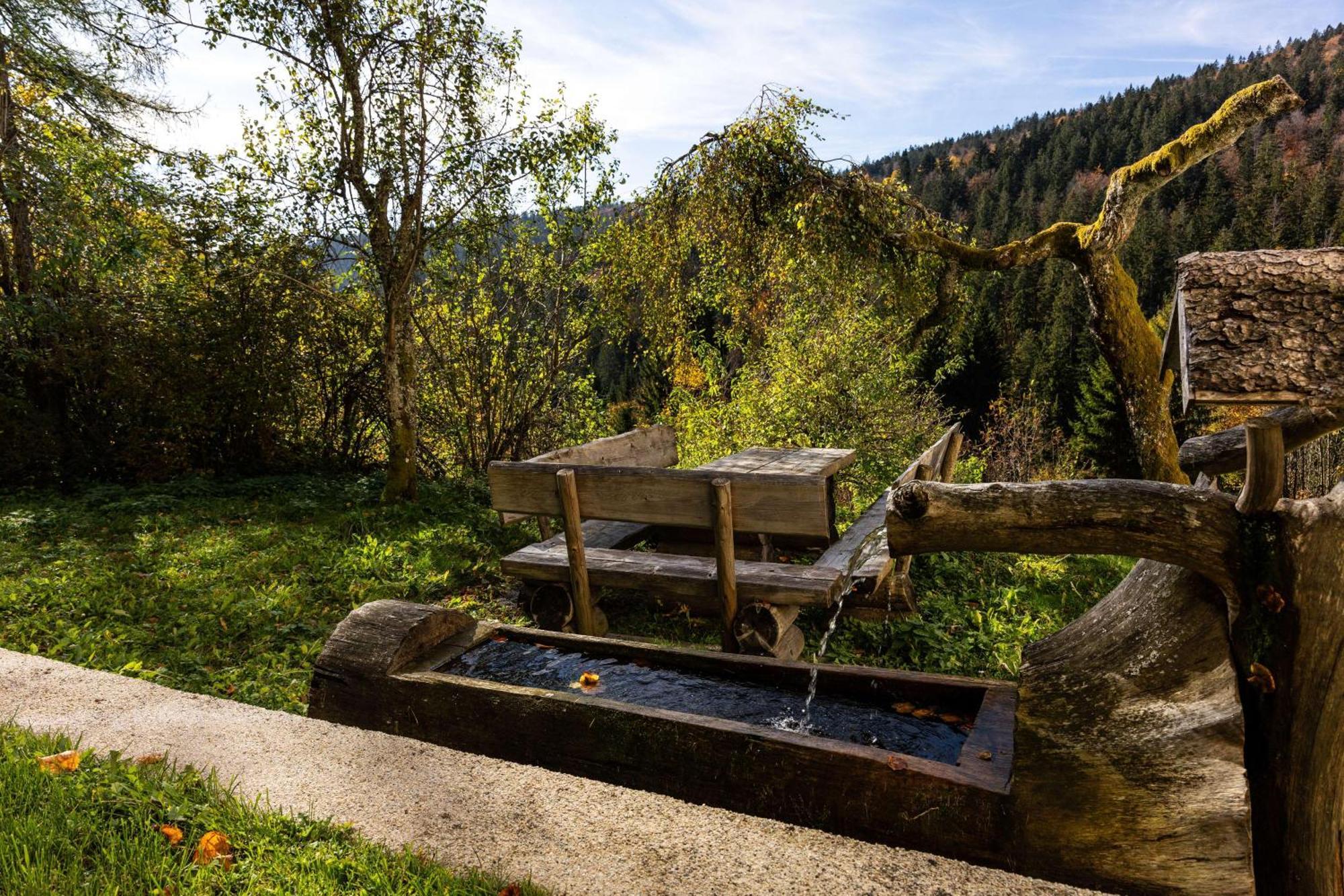 Forsthaus Apartments - Ski + Bike & Hike Клаффер-ам-Гохфихт Екстер'єр фото