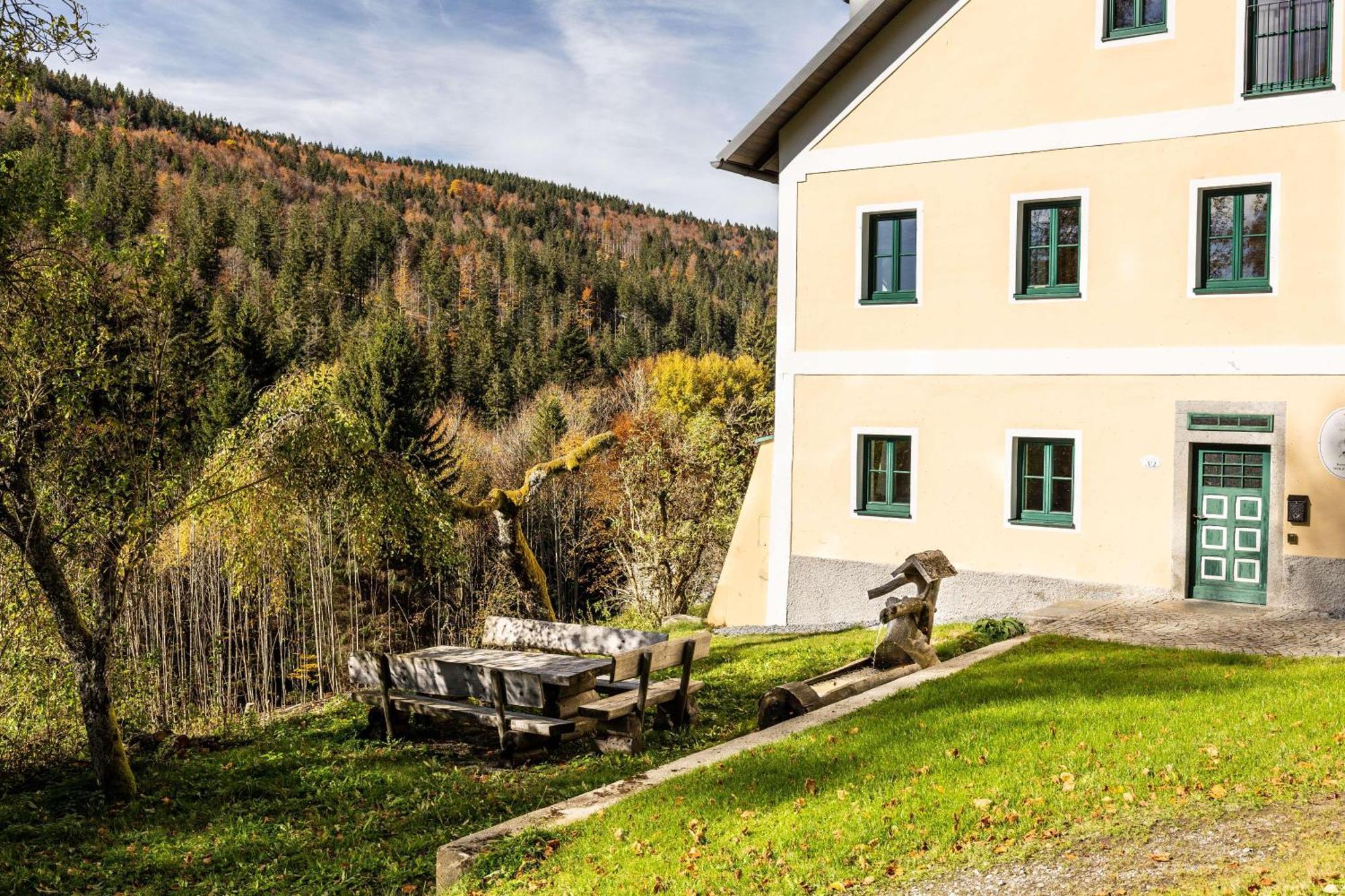 Forsthaus Apartments - Ski + Bike & Hike Клаффер-ам-Гохфихт Екстер'єр фото